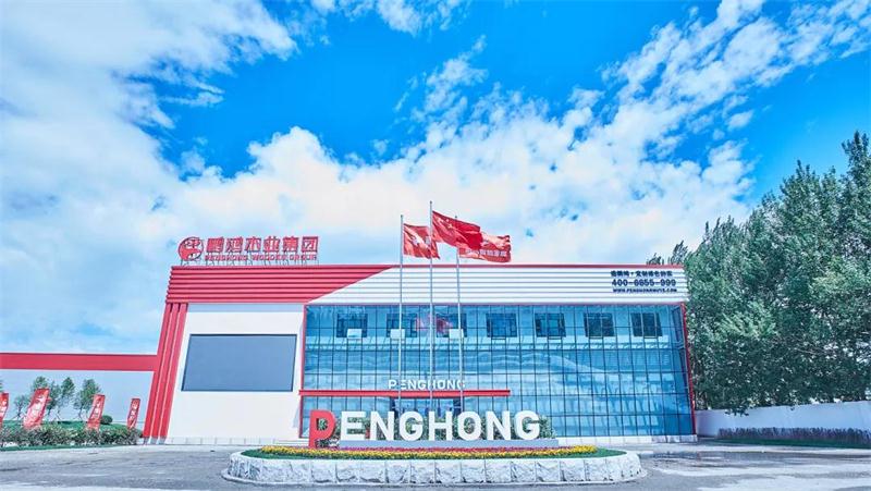 Z6·尊龙「中国区」官方网站