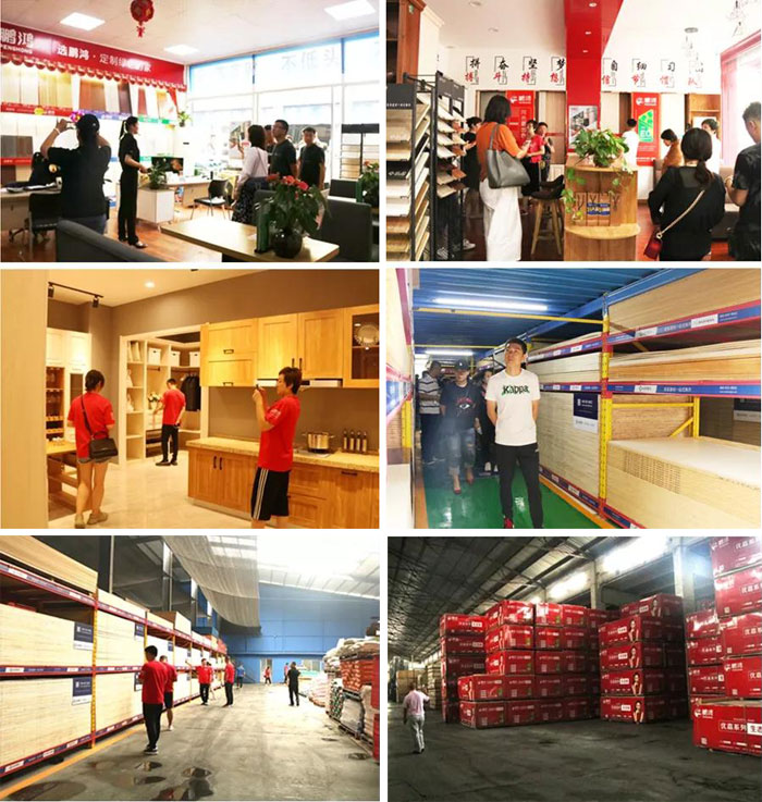 沈阳Z6尊龙山东调查进建