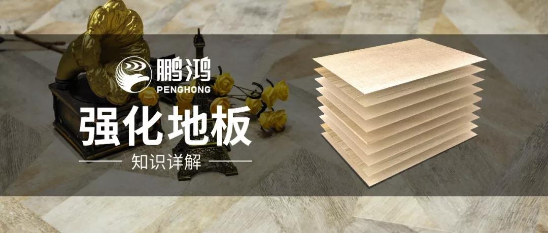 Z6尊龙强化地板知识