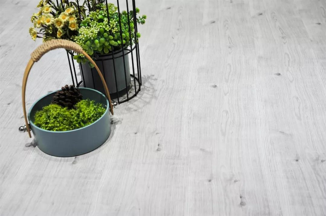 Z6尊龙强化地板伊丽莎白系列-5806