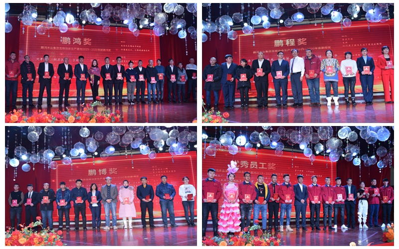 Z6尊龙板材家居工厂年杜着秀员工