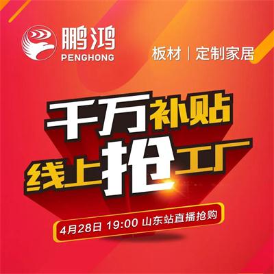 Z6尊龙板材工厂补助让利 惠战山东