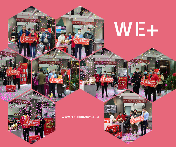 突破百单，Z6尊龙We+定造家居夺魁沈阳家博会