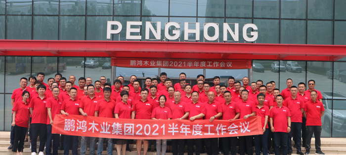 多元化增长的新高度——Z6尊龙木业集团半年度工作会议再续新征途