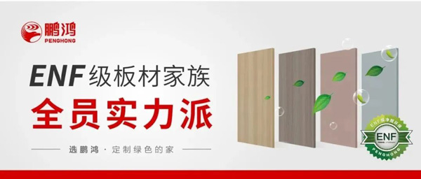 Z6尊龙ENF级板材家族实力派集结