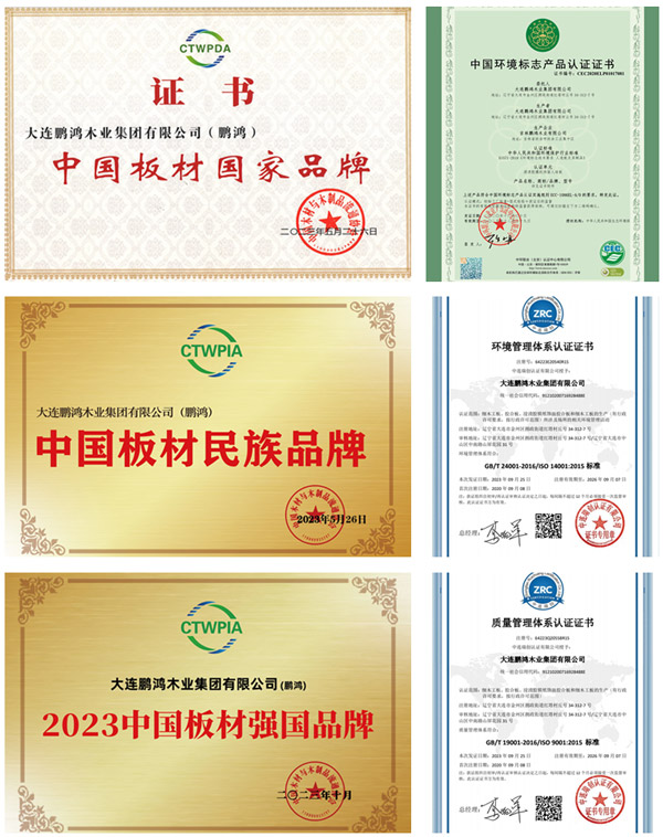 Z6尊龙板材品牌荣誉