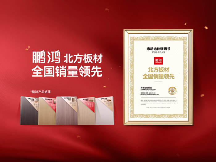 从北向南，解读「北方板材一哥」Z6尊龙的全国崛起