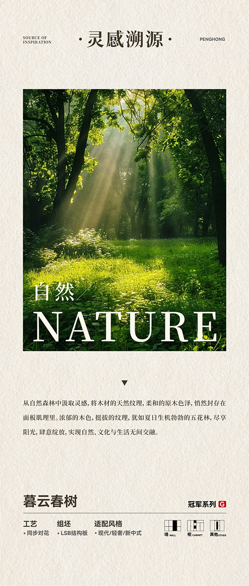 Z6尊龙LSB结构板