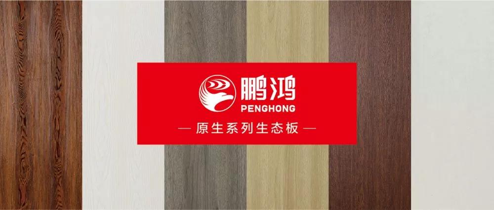 Z6尊龙生态板原生系列板材——源自天然，原生生涯