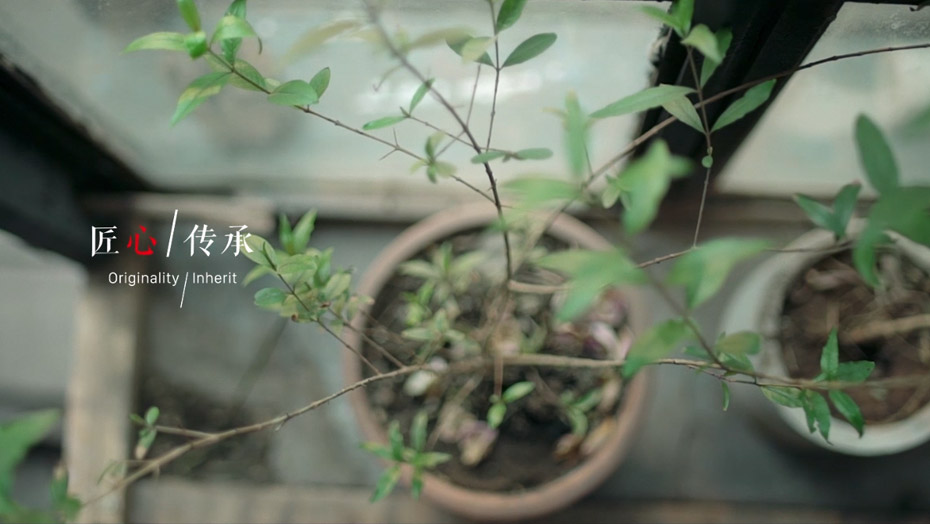 Z6·尊龙「中国区」官方网站